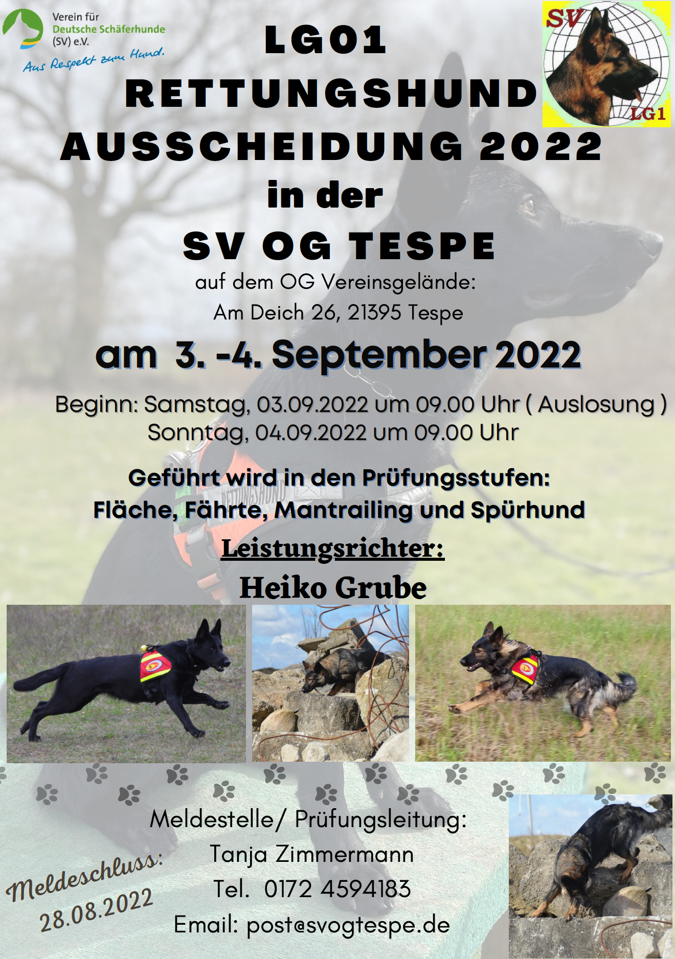 Landesgruppenausscheid Rettungshunde 2022